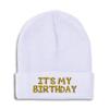 Speedy Pros Beanies for Men It's My Birthday Gold Embroidery Skull Cap Winter Hats for Women Acrylic One Size White Design Only view 1