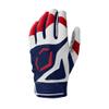 EvoShield SRZ-1 Youth Batting Gloves - USA, Youth Medium view 2