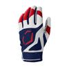 EvoShield SRZ-1 Adult Batting Gloves - USA, Medium view 2