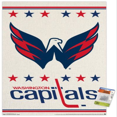 NHL Washington Capitals - Logo 14 Wall Poster with Push Pins