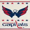 NHL Washington Capitals - Logo 14 Wall Poster with Push Pins view 3
