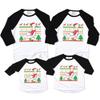 Christmas Matching Shirt for Family Santa Goose with Scarf Printed Funny Xmas Raglan Shirt view 3