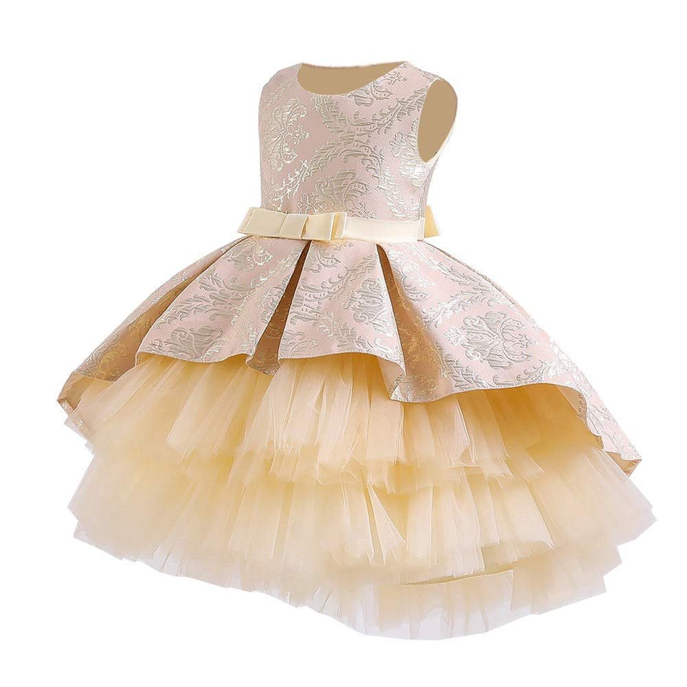 WOCINL Flower Girls High Low Tulle Dress Vintage Jacquard Princess Pageant Birthday Party Wedding Prom Evening Dance Gown Champagne 18-24 Months