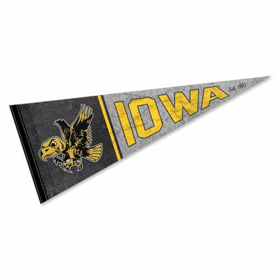 Hawkeyes Pennant Throwback Vintage Banner
