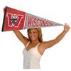 Wisconsin Badgers Pennant Throwback Vintage Banner view 4
