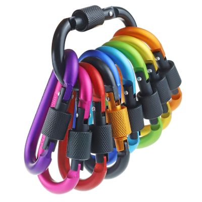 10 Pack Aluminum D Ring Key Rings Hiking Clips Locking Carabiner for Hiking Camping Fishing and Outdoor UseClips with Screw Gate Multicolored