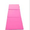 Pro-Gymnastics Tri Fold Folding Exercise Mat 2" Thick 6'x'2 FT with Thigh Master Thigh Workout Exerciser - Thigh Toner Home Gym Trainer for Butt, Leg, Arm, Chest Toner, Body Building Fitness (Pink) view 4