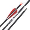 Archery Hunting Practice Arrows for Compound and Recurve Bow-28inch Target Arrows for Youth & Adults with Removable Tips(Pack of 12) view 4