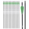 Archery 28Inch Carbon Arrow Practice Hunting Arrows with100 Grain Removable Tips for Compound & Recurve Bow(Pack of 12) view 1