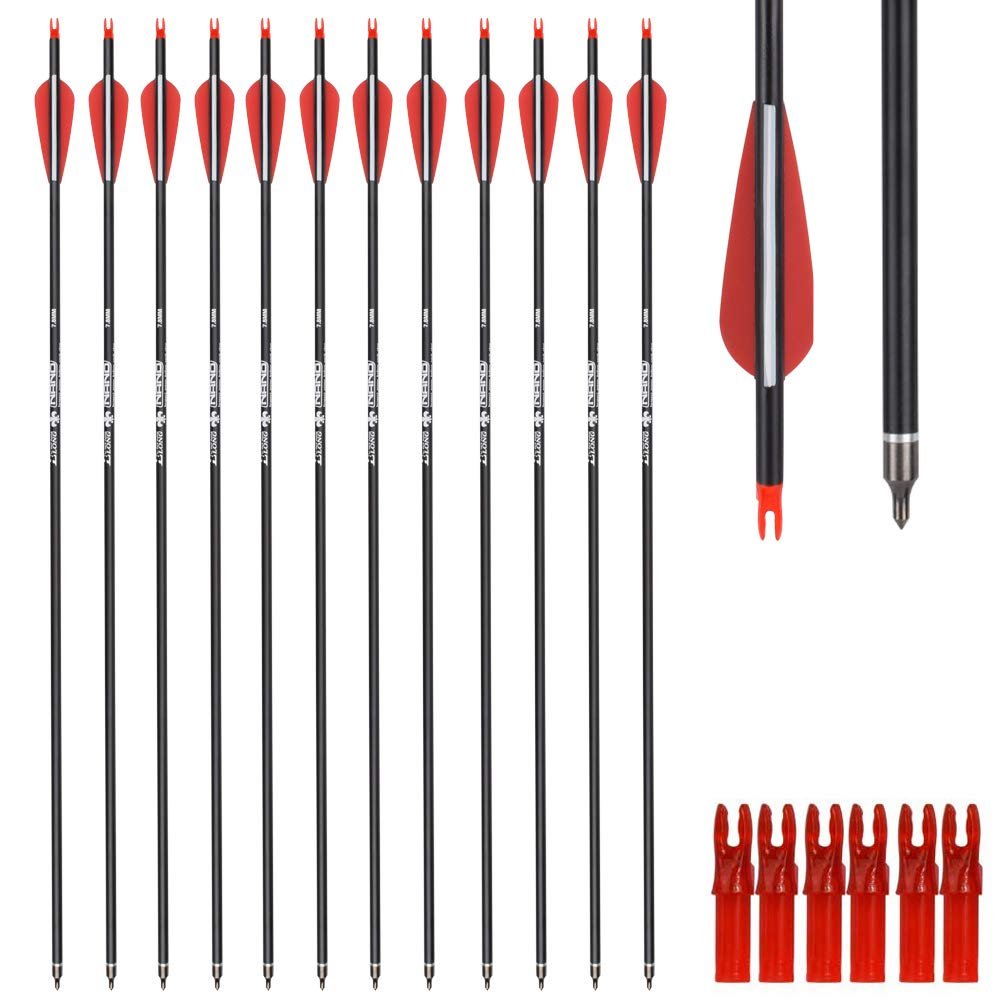 Archery Hunting Practice Arrows for Compound and Recurve Bow-26inch Target Arrows for Youth & Adults with Removable Tips(Pack of 12)