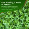 HIT LIST SEED Chicory + Clover Food Plot Seeds for Deer [Perennial] - Deer Food Plot Seed Perennial - Deer Plot Seed Mix - Chicory, Ladino Clover, Red Clover - Spring, Summer & Fall Planting - 6 lbs view 4