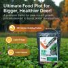HIT LIST SEED Chicory + Clover Food Plot Seeds for Deer [Perennial] - Deer Food Plot Seed Perennial - Deer Plot Seed Mix - Chicory, Ladino Clover, Red Clover - Spring, Summer & Fall Planting - 3 lbs view 2