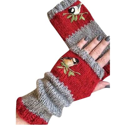 dSNAPoutof Women Knitted Gloves, Autumn Winter Warm Gloves, Bird Embroidered Knit Fingerless Color Block Stretchy Mitten, Cold Weather Gloves, Red