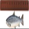 Flexifabrics Marine Foam Fish Ruler | 3M Adhesive Backing | A Great Add-on for Fishing Boats, Kayaks & Coolers | 36 Fishing Measurement Tool (Sedona Red) view 4