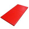 Tumbl Trak Build-A-Mat for Gymnastics, Cheer, Dance, and Fitness, 2FT x 5FT x 1-3/8IN, Red view 2