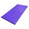 Tumbl Trak Build-A-Mat for Gymnastics, Cheer, Dance, and Fitness, 2FT x 4FT x 1-3/8IN, Purple view 2