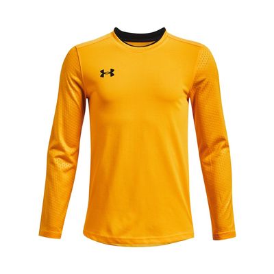 Under Armour Boys Wall Goalkeeper Jersey, Steeltown Gold (750)/Black, Large