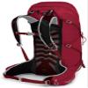 Osprey Talon 36L Men's Hiking Backpack with Hipbelt, Cosmic Red, S/M view 2