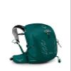 Osprey Tempest 20L Women's Hiking Backpack with Hipbelt, Jasper Green, WM/L view 1
