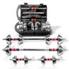 Adjustable Dumbbell Set Home Gym Cast Iron Barbell Sets with Carry Box 44lbs Office Bedroom Workout Dumbbells for Men and Women view 1