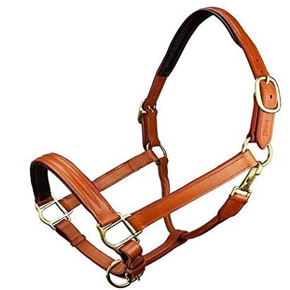Grewal Equestrian Triple Stitched Leather Halters (Longdon Gold, Oversize)