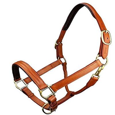 Grewal Equestrian Triple Stitched Leather Halters (Longdon Gold, Full)