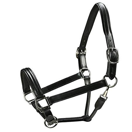 Grewal Equestrian Triple Stitched Leather Halters (Black, Cob)