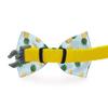 Cutie Ties Blue Cheetah Print Dog Bow Tie view 2