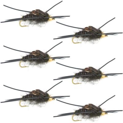 The Fly Fishing Place Bead Head Nymph Fly Fishing Flies - Kaufmann's Black Stone Fly with Rubber Legs - Stonefly Wet Fly - 6 Flies Hook Size 8