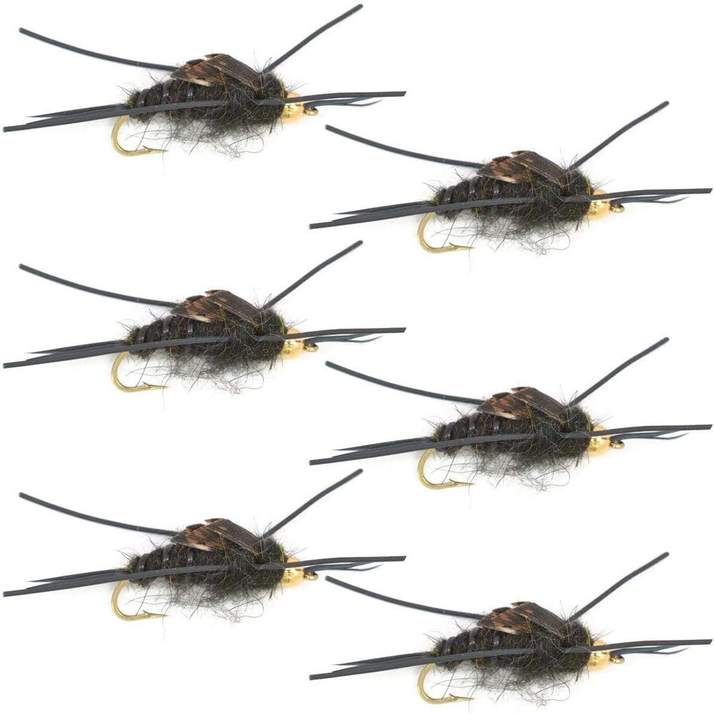 The Fly Fishing Place Bead Head Nymph Fly Fishing Flies - Kaufmann's Black Stone Fly with Rubber Legs - Stonefly Wet Fly - 6 Flies Hook Size 8