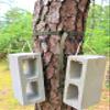 bwd Bow/Gear Combo Hanger - Ultimate Bow Hanger & 3 Wide Gap Gear Hangers - No Wobble, Lasts a Lifetime - 300 lb Capacity - Tree Mount - Minimalist Style view 2