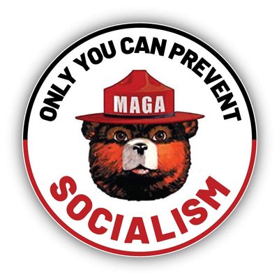 Only You Can Prevent Socialism Smokey MAGA Trump 2020 Vinyl Sticker Decal