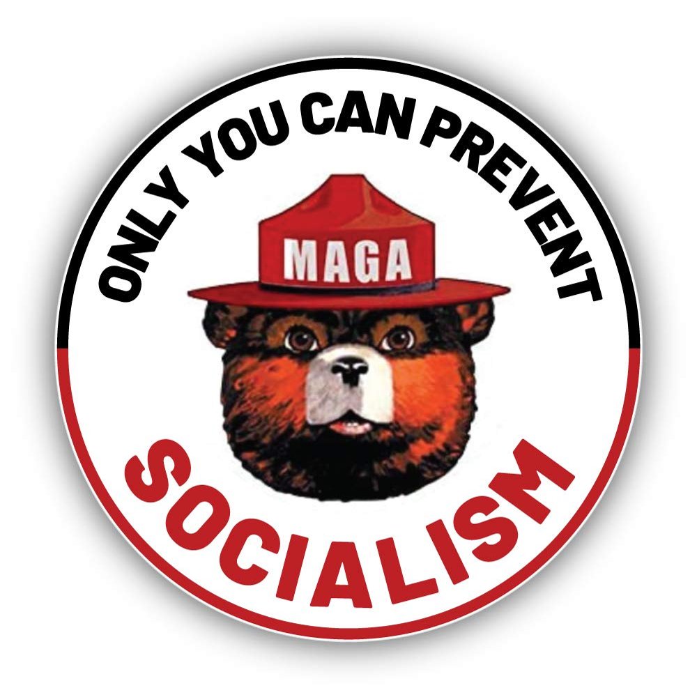 Only You Can Prevent Socialism Smokey MAGA Trump 2020 Vinyl Sticker Decal