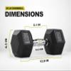 PRCTZ Rubber Encased Hex Dumbbell, 35lbs Single (35) view 3