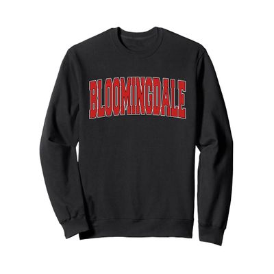 BLOOMINGDALE NJ NEW JERSEY Varsity Style USA Vintage Sports Sweatshirt