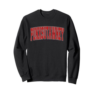 PUNXSUTAWNEY PA PENNSYLVANIA Varsity Style USA Vintage Sport Sweatshirt