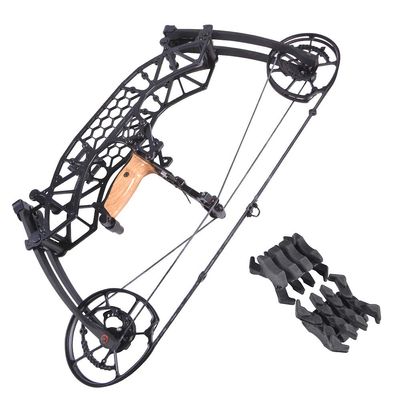 AMEYXGS Archery Compound Bow Catapult Steel Ball Dual-use Bowfishing Hunting Bow Outdoor Shooting 35-65lbs Adjustable Adult Bow Right Hand (Black)