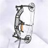 AMEYXGS Archery Compound Bow Catapult Steel Ball Dual-use Bowfishing Hunting Bow Outdoor Shooting 35-65lbs Adjustable Adult Bow Right Hand (Black) view 3