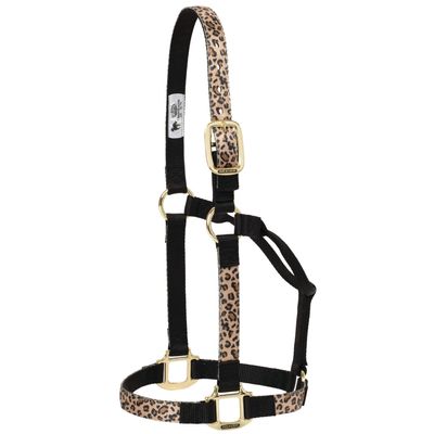 Weaver Leather Non-Adjustable Patterned Nylon Horse Halter, Leopard