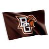 Desert Cactus Bowling Green State University BGSU Flag - 3 x 5 Feet Green Falcons Banner, Indoor/Outdoor Durable Fabric, 100% Polyester Design (Style 8) view 1