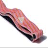 OUTDOOR ENLIGHTENMENT Third Eye Headlamps - Stylish Artist-Designed Replacement Bands - Soft, Adjustable, Universal, Fits Most Headlamps (Metric) view 2