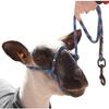 YBW Sheep Rope Halter with Snap Lead Blue Fusion (Blk Blu Pk) view 1