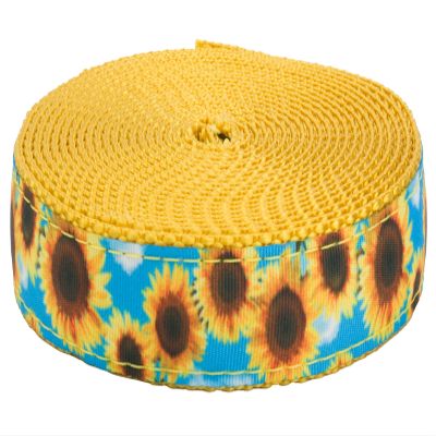 Country Brook Design - Sunflowers Ribbon on Gold Nylon Webbing (1 Inch, 10 Yards)