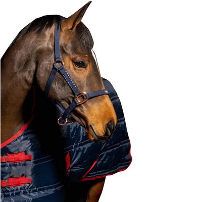 John Whitaker Bradshaw Horse Halter (X Full) (Navy)