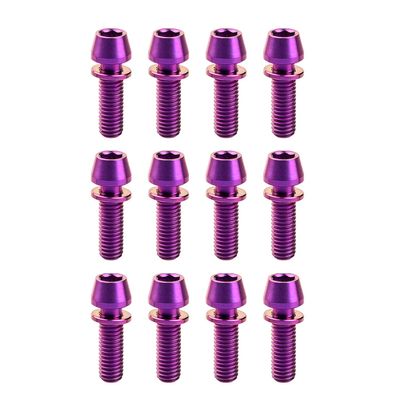 Addmotor 12 Pcs Bike Screw Ti Titanium Bicycle Disc Brake Rotors Bolts Nuts with Washer M5x16mm Torx T25 Head (Purple)