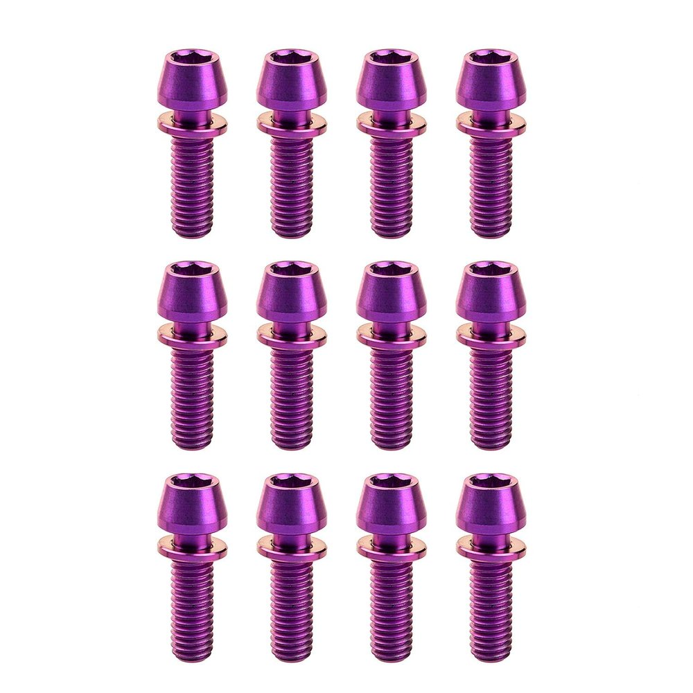 Addmotor 12 Pcs Bike Screw Ti Titanium Bicycle Disc Brake Rotors Bolts Nuts with Washer M5x16mm Torx T25 Head (Purple)