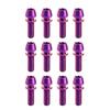 Addmotor 12 Pcs Bike Screw Ti Titanium Bicycle Disc Brake Rotors Bolts Nuts with Washer M5x16mm Torx T25 Head (Purple) view 1