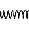 Sachs 993 971 springs. view 2