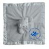 Baby Fanatic NCAA Kentucky Wildcats Security Bear Blanket, One Size, Gray view 3