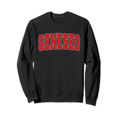 GENESEO NY NEW YORK Varsity Style USA Vintage Sports Sweatshirt